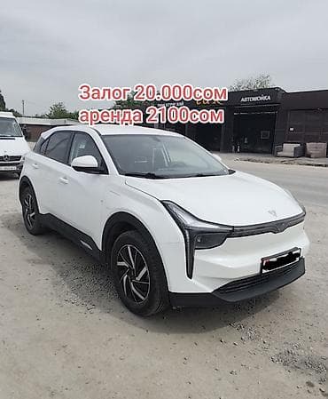 Сдаю BYD, Долгосрочно