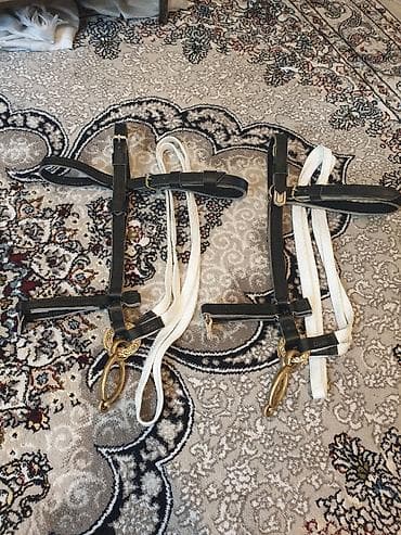 Уздечки/недоуздки для лошадей (пара) - Материал: плотная черная кожа