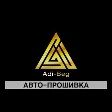 Компьютерная диагностика, Регулировка, адаптация систем автомобиля, Услуги автоэлектрика, без выезда