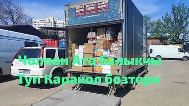 груз в москву: Заказать Мерседес грузовой спринтер, Перевозка мебели, C грузчиком — 7