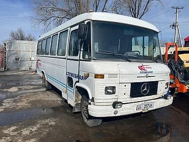 автобусы паз: Mercedes-Benz : 1988 г., 3 л, Механика, Дизель — 1