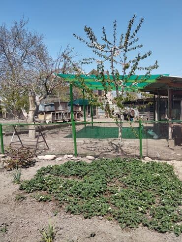 оборудование для фаст фуд: Дом, 54 м², 2 комнаты, Старый ремонт — 7