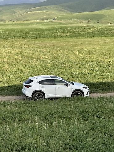 портер 2 чехол: Lexus NX: 2018 г., 2 л, Автомат, Бензин, Кроссовер — 7
