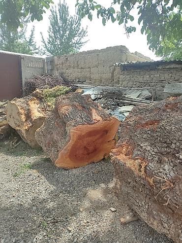 куплю стол письменный: Ассалому алейкум! кассап канага эт чапканга ото жакшы.Крупные — 3
