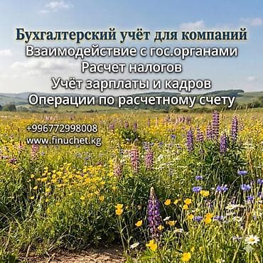 ликвидация: Бухгалтерские услуги | Подготовка налоговой отчетности, Сдача налоговой отчетности, Консультация — 1