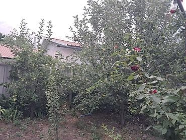 профсоюз: Срочно продам пол дома 80кв.м участок 4 сотки( срочная продажа в связи — 2