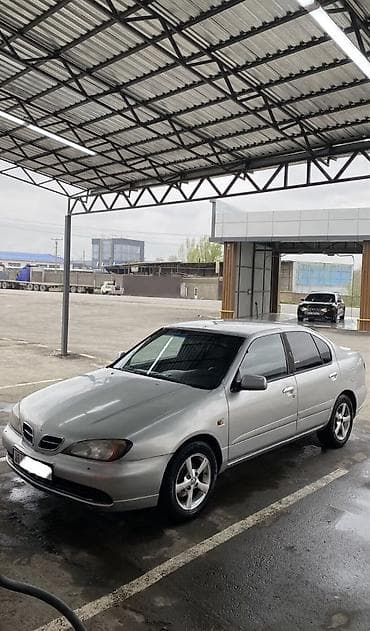k7 kia: Nissan Primera: 2001 г., 1.8 л, Ручные, Бензин, Седан — 3