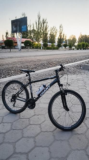 engine 11: Горный велосипед Giant ATX - Рама: легкая алюминиевая, геометрия для — 1
