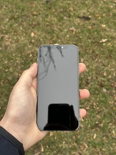 me: IPhone 12 Pro, Б/у, 128 ГБ, Серебристый, Чехол, 75 % — 4