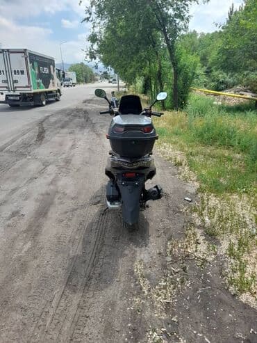 дождевик для скутер: Скутер WANGYA (надпись на щитке), городской максискутер-класс — 13