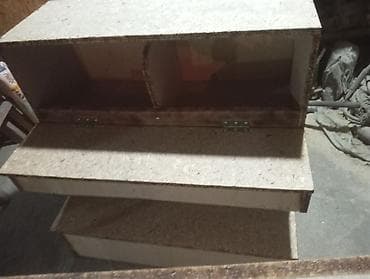 живой корм: Двухэтажное гнездо с яйцесборником — 3