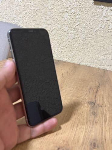 маленкий: IPhone X, Зарядное устройство, Защитное стекло, Чехол, 100 % — 2