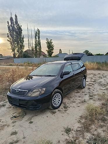 Toyota Corolla: 2003 г., 1.6 л, Автомат, Бензин, Универсал
