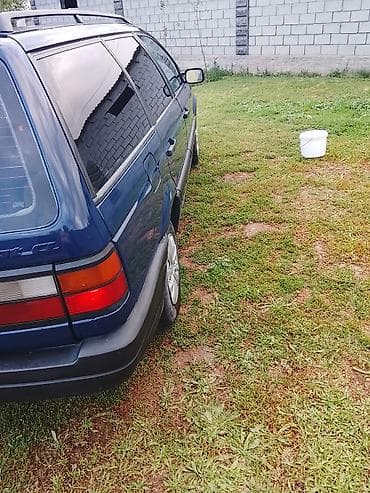 пороги црв: Volkswagen Passat Variant: 1993 г. — 6