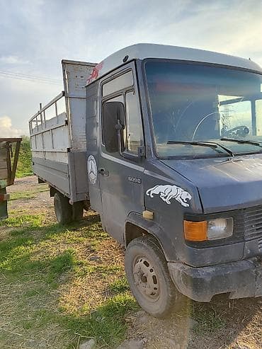 ez 30: Грузовик, Mercedes-Benz, Стандарт — 2