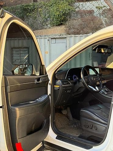 палисай: Hyundai Palisade: 2020 г., 2.2 л, Автомат, Дизель, Кроссовер — 8