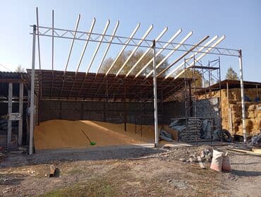 Кукуруза 🌽 пионер