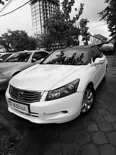 v6: Honda Accord: 2010 г., 3.5 л, Автомат, Бензин, Седан — 3