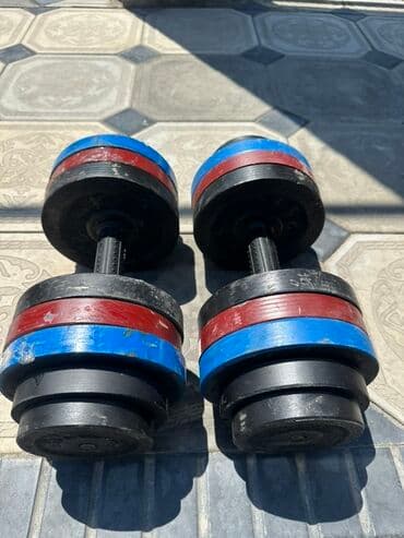 гантели для начинающих дома: Пара разборных гантелей для силовых тренировок. Каждая гантель — 2