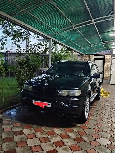 BMW X5: 2003 г., 4.4 л, Газ, Кроссовер
