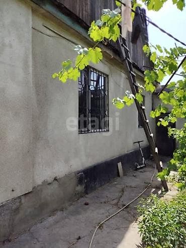 айни чапаева: 4 соток — 4