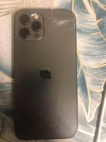 IPhone 12 Pro, 256 ГБ, Графит, Кабель