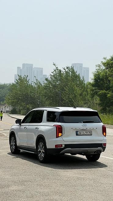 корейский опалобки: Hyundai Palisade: 2020 г., 2.2 л, Автомат, Дизель, Кроссовер — 6
