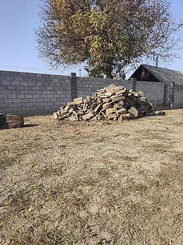 kugoo v3: Услуги бензопилы — 2