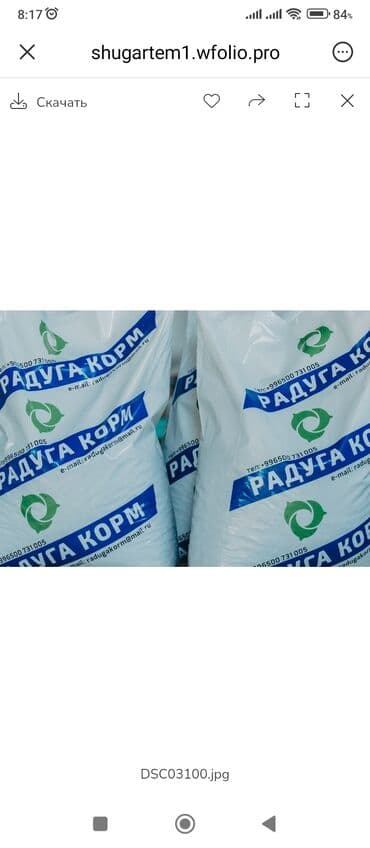 флипчарты 100 х 100 см настенные: Корма для форели и сазана.Изготовлен на современном — 2