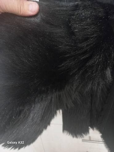 Шорталар: Дублёнка, Классикалык модель, Тизеден, L — 4