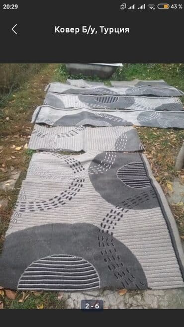 манеж дордой: Килем Колдонулган — 1