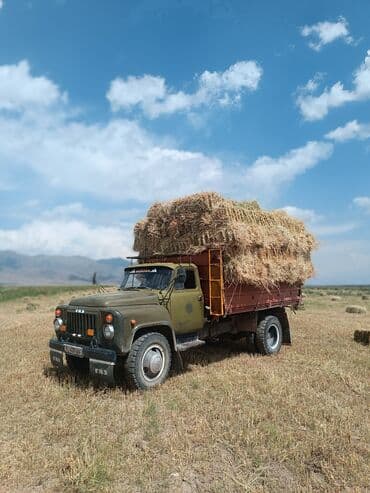 бу шины на газ 53: Жүк ташуучу унаа, GAZ, Стандарт, 4 т, Колдонулган — 4