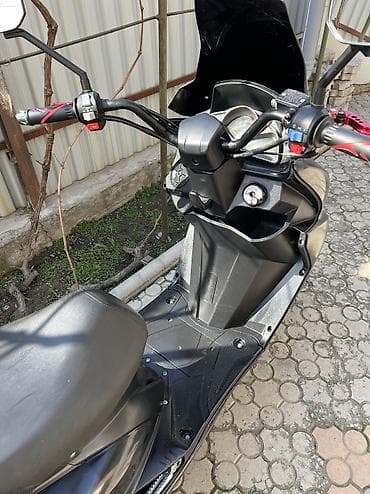 ск пионер: Макси — 5