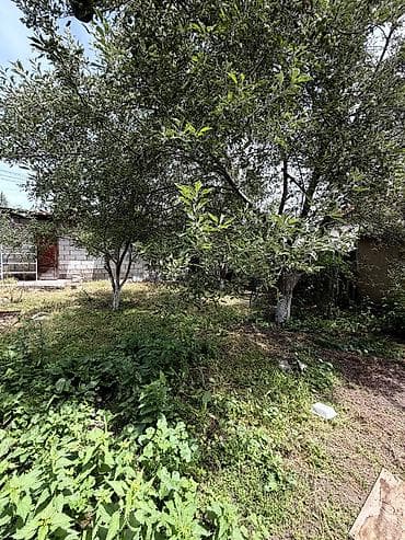 🏡 Продается уютный дом в Сокулуке! 📍 Отличное месторасположение — — 2