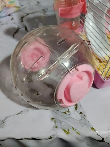 аквариумы с рыбками: Продаётса клетка, и всё на фотках внутри также есть посуда для корма — 2