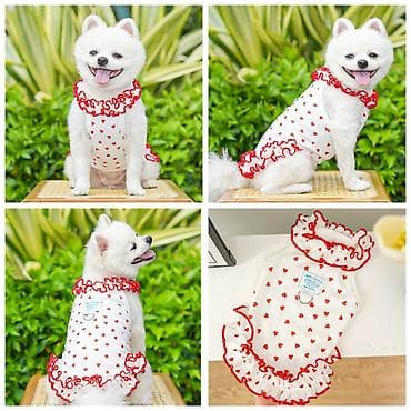 ат така: Продаю новые лежанки для кошек и собак,а так же — 5