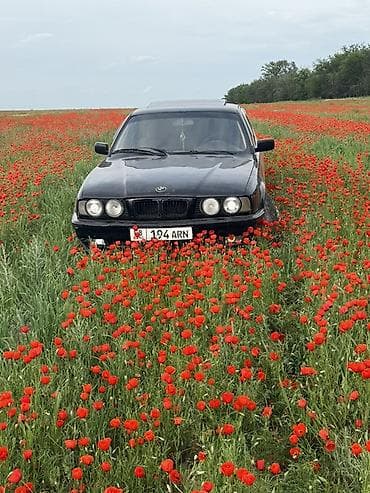 дверные карты на бмв: BMW 5 series: 1995 г., Механика, Бензин, Седан — 1