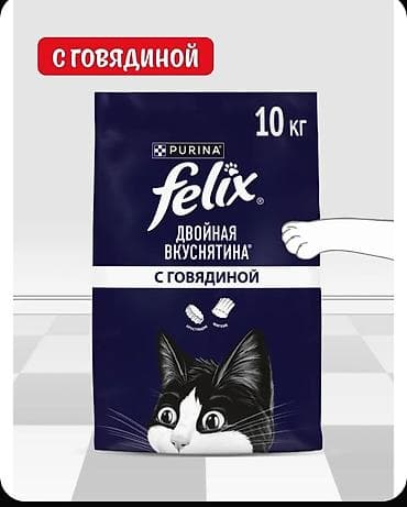 усыпление животных бишкек: Люксембург. Зоомагазин Ветинтерсервис. Большой выбор — 1