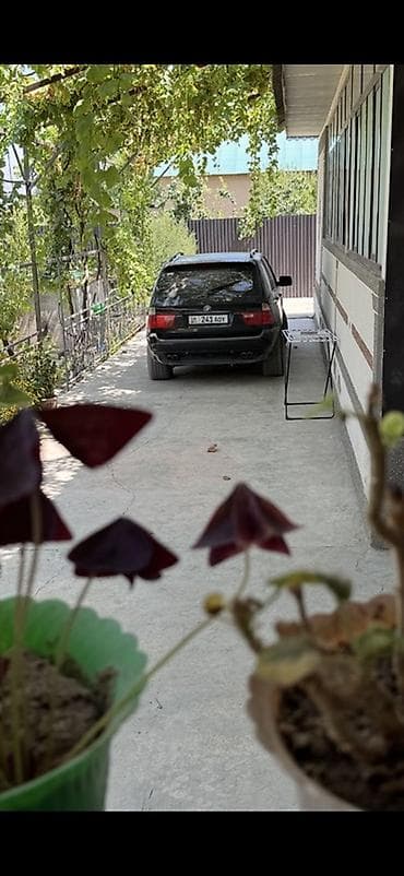 e53 x5: BMW X5: 2003 г., 4.4 л, Типтроник, Бензин, Кроссовер — 4
