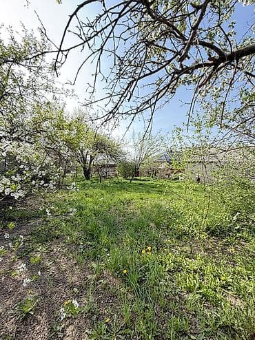 8 соток, Красная книга at lalafo.kg 8 соток, Красная книга