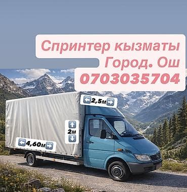 Заказать Мерседес грузовой спринтер, Переезд, Другие опции