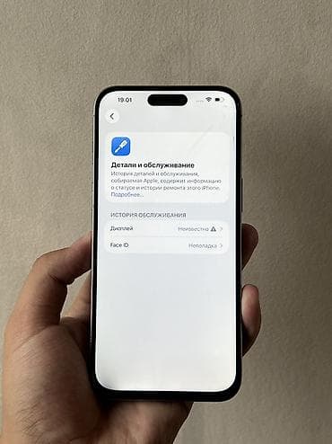 another 13: IPhone 15 Pro Max, Б/у, 256 ГБ, Natural Titanium, Чехол, 89 % — 4