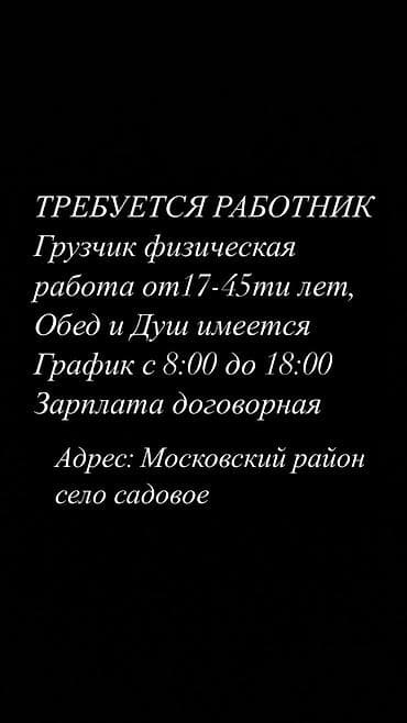 сис админ: Грузчик — 1