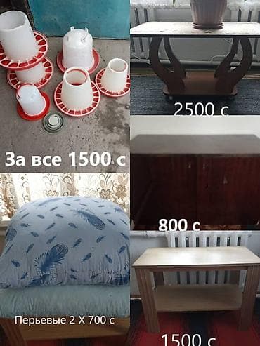 молочная продукция: Подборка товаров для дома, кухни и хозяйства. - Комплект кормушек и — 1