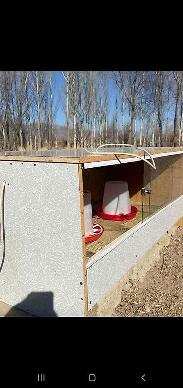 Брудер для цыплят/молодняка птицы - Закрытая теплая коробка с