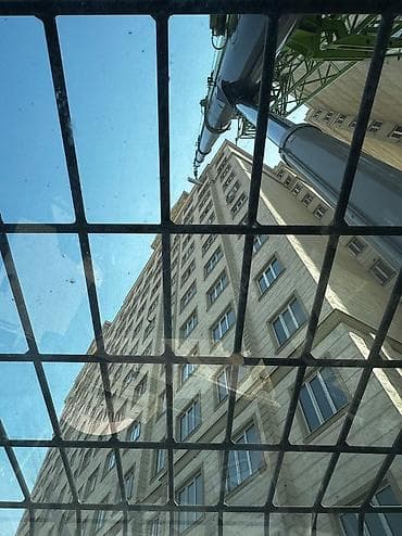 1001 роза: Жаанын 60 м, 50 т — 6