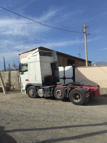 ева поли: Тягач, DAF, 2014 г., Без прицепа — 2