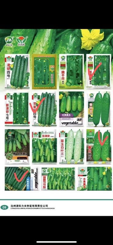 Семена овощей: Огурцы