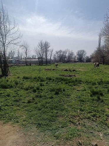 4 bedroom: Кара балта ш. Петропавловка айылынан 2этаж там 6ком. кирип эле жашай — 6