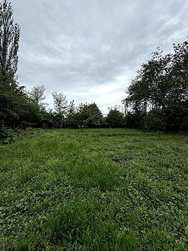 Дома: 📌В селе Беловодское продается дом на участке 12 соток, размерами 30*40 — 4